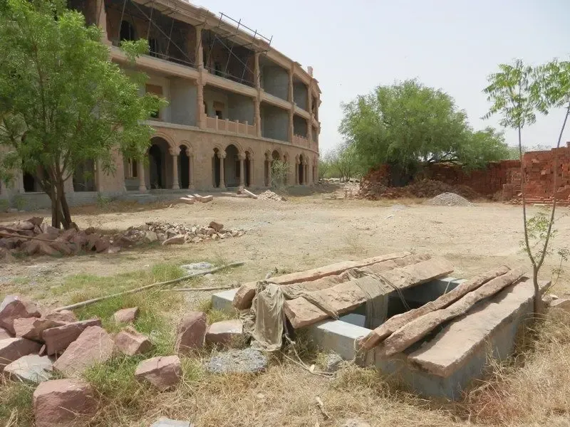 jimmy-the-lizard bodyImage